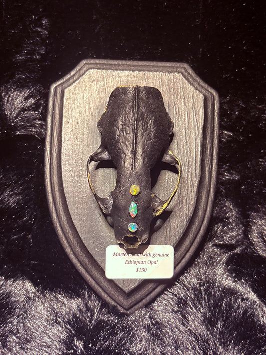 Marten Skull & 3 Opals